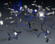 Stars Wall Mural