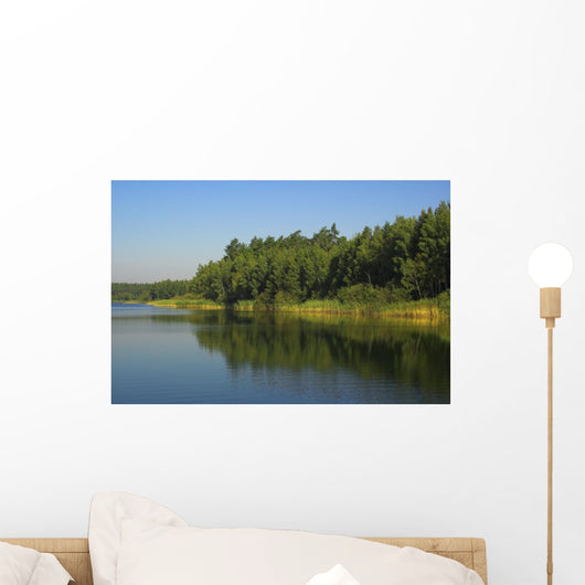 Lake Wall Mural