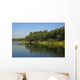 Lake Wall Mural