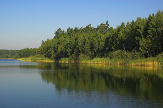 Lake Wall Mural