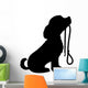 Dog and Leash