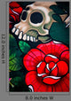 Urban Graffiti Wall Mural