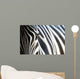 Zebra Wall Mural