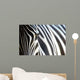 Zebra Wall Mural