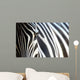 Zebra Wall Mural