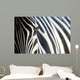 Zebra Wall Mural