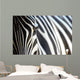 Zebra Wall Mural
