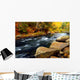 Forest River in the Fall Wall Mural