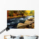 Forest River in the Fall Wall Mural