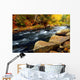Forest River in the Fall Wall Mural