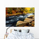 Forest River in the Fall Wall Mural