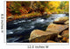 Forest River in the Fall Wall Mural