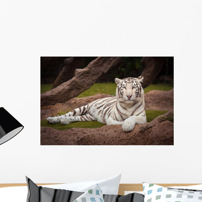 White Tiger Wall Mural shown on a wall