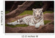 White Tiger Wall Mural