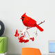 Red Cardinal Bird