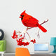 Red Cardinal Bird