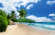 Beach Mahe Island Seychelles