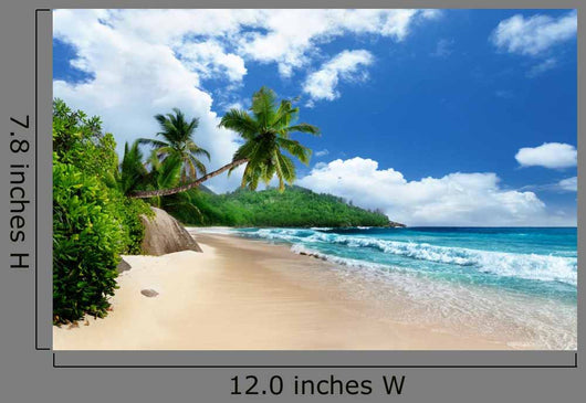 Beach Mahe Island Seychelles