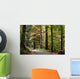 forest walk Wall Mural