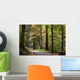 forest walk Wall Mural
