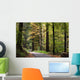 forest walk Wall Mural