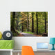 forest walk Wall Mural