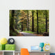 forest walk Wall Mural
