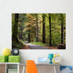 forest walk Wall Mural