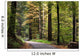 forest walk Wall Mural