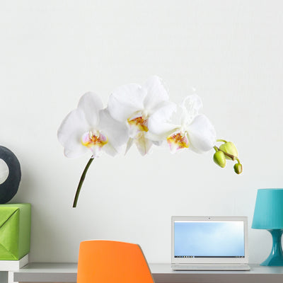 Beautiful Orchid White Wall Decal shown on a wall