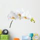 Beautiful Orchid White Wall Decal