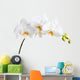Beautiful Orchid White Wall Decal