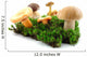 Fungi Wall Mural