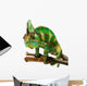 Chameleon Wall Decal