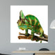Chameleon Wall Decal