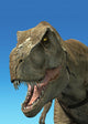 Photorealistic 3 D Rendering