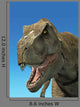 Photorealistic 3 D Rendering