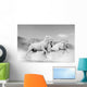 Horses Desert Wall Mural