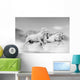 Horses Desert Wall Mural