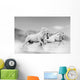Horses Desert Wall Mural