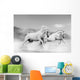 Horses Desert Wall Mural