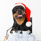Santa Rottweiler Wall Decal