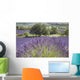 Lonely tree in front of a Provençal lavender field Wall Mural