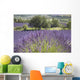 Lonely tree in front of a Provençal lavender field Wall Mural