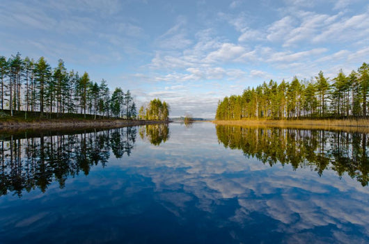 Landscape