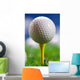 Let's Play round Golf Wall Mural
