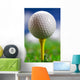 Let's Play round Golf Wall Mural