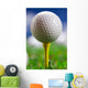 Let's Play round Golf Wall Mural