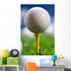 Let's Play round Golf Wall Mural