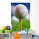 Let's Play round Golf Wall Mural
